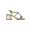 Alma En Pena 23307 Cuir Bronze